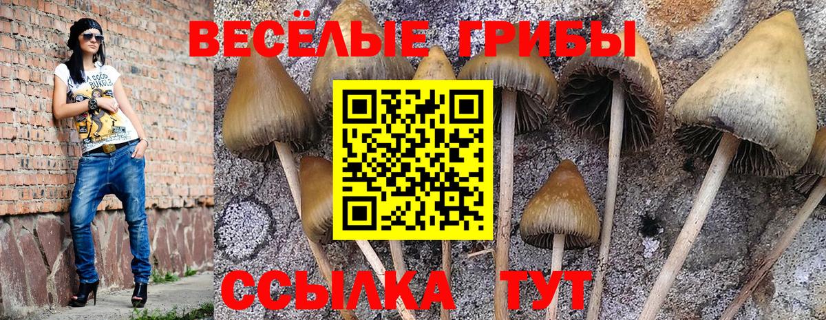 Химки  Псилоцибиновые грибы ЛСД  Вход с VPN  Псилоцибиновые грибы ЛСД 